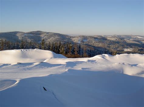 Impressionen | pauliberg
