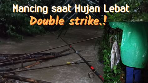 Mancing Malam Hari Saat Hujan Lebat Dua Ekor Monster Lele