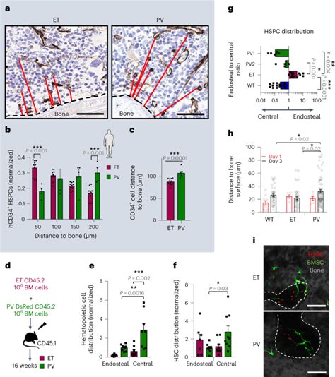 Different Niches For Stem Cells Carrying The Same Oncogenic Driver