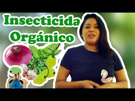 Haz Tu Propio Insecticida Org Nico Youtube