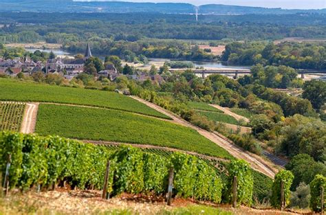 burgundy wine investment buyers showing patience  quiet year decanter