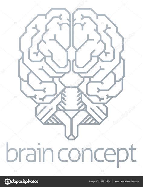 Brain Front Concept Stock Vector By ©krisdog 318818254