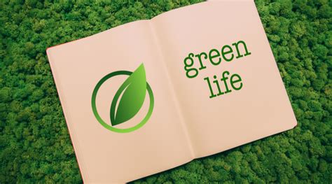 The Green Life How To Navigate The World Of Sustainability And Have