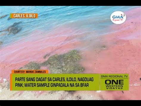 One Western Visayas Parte Sang Dagat Sa Carles Iloilo Nagduag Pink