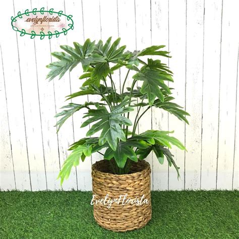 Jual Pohon Daun Monstera Jari Philo X Semi Latex Artificial Pot Dasar