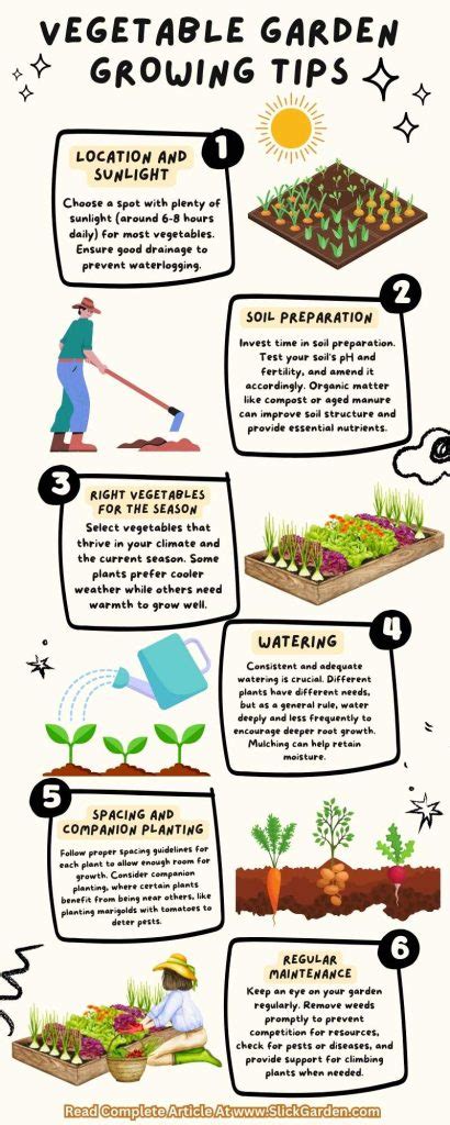 Vegetable Garden Growing Tips – Slick Garden