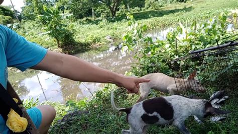 TAYO NANG MANGHULI NG ISDA SA ILOG YouTube