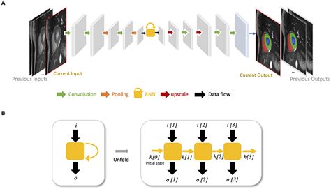 Frontiers Deep Learning For Cardiac Image Segmentation A Review