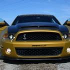 GeigerCars Ford Mustang Shelby GT640 Golden Snake Exposed