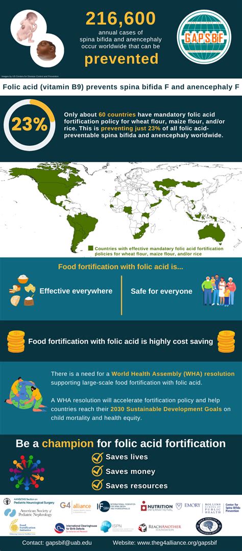 A Wha Resolution Folic Acid Fortification To Prevent Spina Bifida If