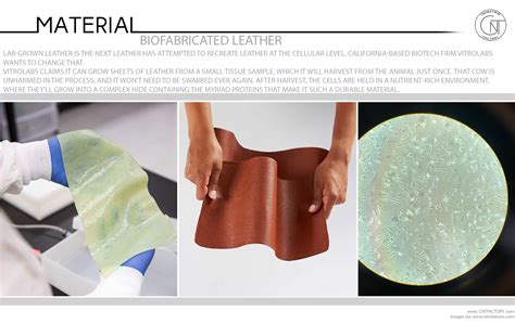 Biofabricated Leather