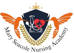 Mary Seacole Nursing Care Training Academy