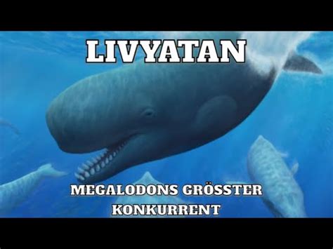 Megalodons größter Rivale Livyatan Reaction YouTube