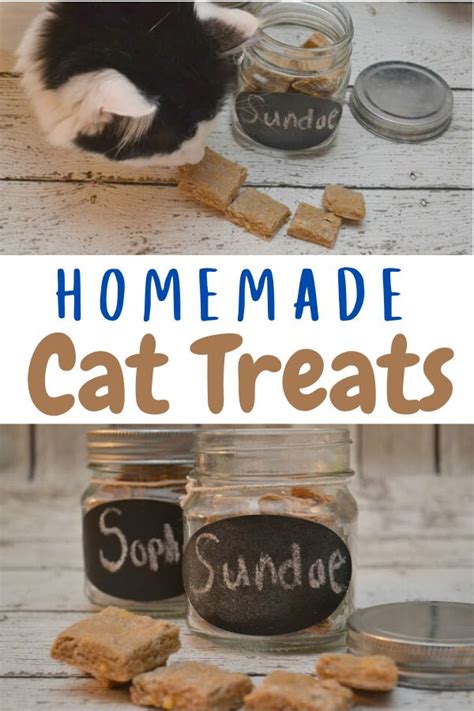 Homemade Tuna And Cheddar Cat Treats Cat Treats Homemade Cat Treats