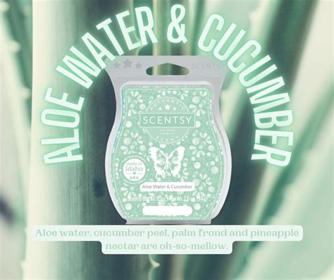 Aloe Water Cucumber Scentsy Wax Bars Scentsy Scent Scentsy