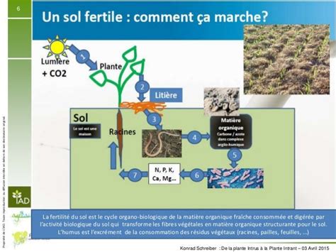 De La Plante Intrus à La Plante Intrant Conserver La Fertilité Des