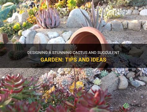 Designing A Stunning Cactus And Succulent Garden: Tips And Ideas | ShunCy