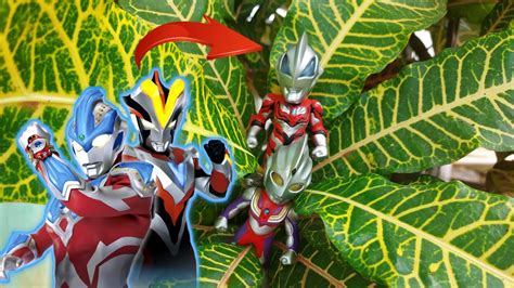 Berburu Mainan Ultraman Di Pohon YouTube