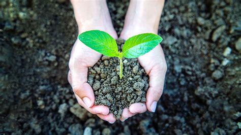 Avanza La Ley De Educación Ambiental Integral Qi Argentina