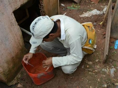 Levantamento Do Liraa Indica Estado De Alerta Em Nova Serrana Centro