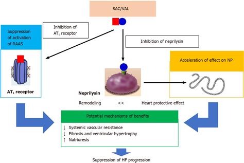 Angiotensin Receptor Blocker Neprilysin Inhibitors