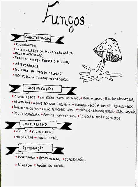 Mapa Mental Sobre Fungos Librain