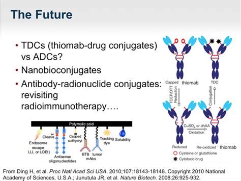 Antibody Drug Conjugates In Cancer Targeted Chemotherapy Transcript