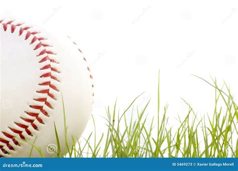 Baseball In The Grass Stock Image Image Of Lawn Grass 5469273