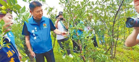 苗栗 公館紅棗因暴雨受損 鍾東錦勘災