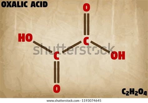 Detailed Infographic Illustration Molecule Oxalic Acid Stock Vector Royalty Free 1193074645