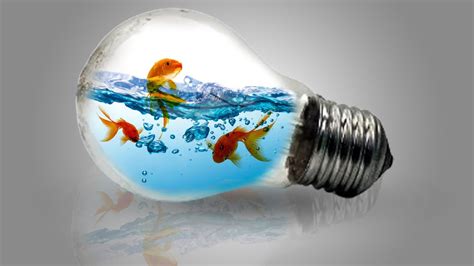 New Photoshop Tutorial Photo Manipulation Water Splash In Bulb