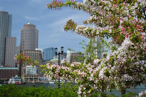 Boston Spring Boston Ma Danny Flickr