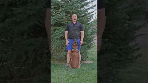 As An Autistic Gay Man I Click Well With Certain Groups But EVERYONE Is Welcome To Apply YouTube