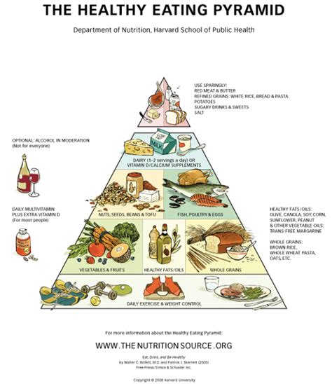 Planet Lactose Dairy And The New Food Pyramid