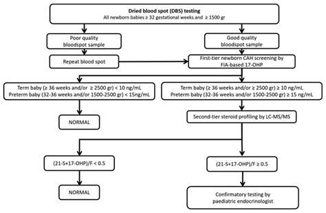 Congenital Adrenal Hyperplasia Pathway