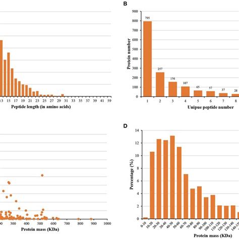 Distribution Of A Peptide Lengths B Numbers Of Peptides C Download Scientific Diagram