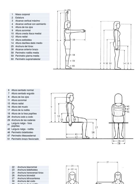 Medidas Antropometricas Pdf