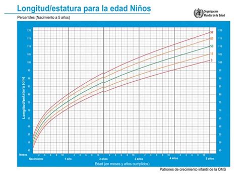 Percentiles En Los Ni Os Qu Es El Percentil Y C Mo Se Mide