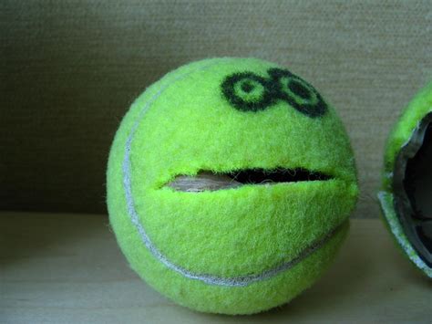 Tennis Ball Face Indifferent Flickr Photo Sharing