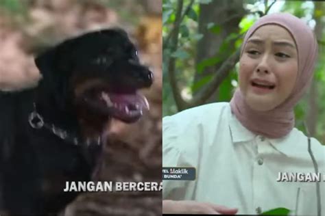 Sinopsis Sinetron Jangan Bercerai Bunda Di RCTI Rabu 1 November 2023