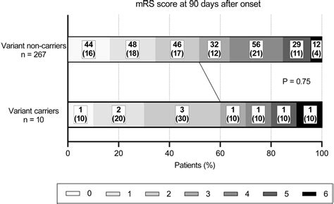 Impact Of The Rnf P R K Variant On Endovascular Therapy For Large