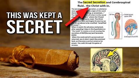 The Sacred Secret It Happens to Your Pineal Gland Every 29 ½ Days