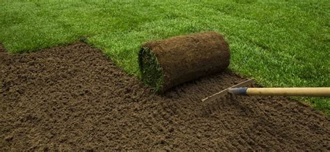 Turf Installation Penrith And Sydney D And V Turf Supplies