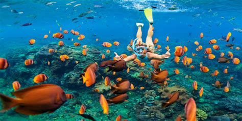 Bali Snorkeling | Bali Water Sport | Bali Activity