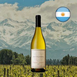 DV Catena Chardonnay Chardonnay Vinho Branco Argentino Center