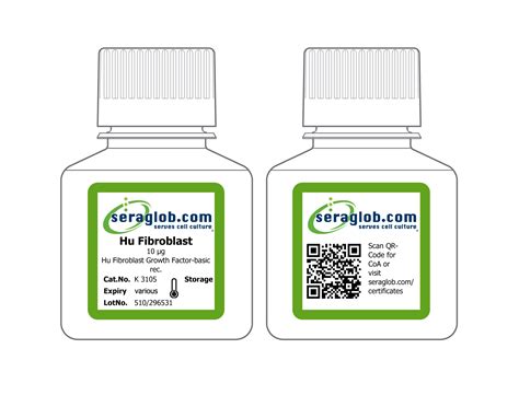 Hu Fibroblast Growth Factor Basic Rec X G Bioswisstec