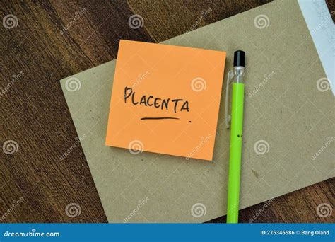 Concept Of Placenta Write On Sticky Notes Isolated On Wooden Table