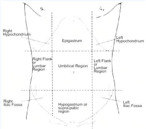 9 Areas Of The Abdomen Critical Care Practitioner