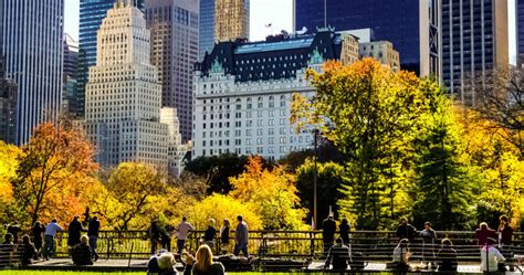 Inside The Big Apple How To Find The Best Deals On Luxury New York