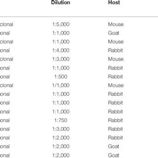 Antibodies used for Western blotting. | Download Scientific Diagram